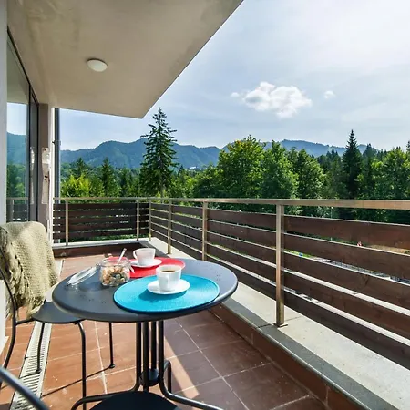 Art Gallery In Silver Mountain Apartment Poiana Brasov